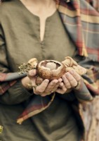 Detail of woman holding mushrooms in her hands 
