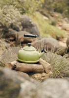 Green enamel vintage style kettle on log pile in woodland