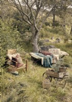 Rustic seating area with vintage furniture in woodland garden